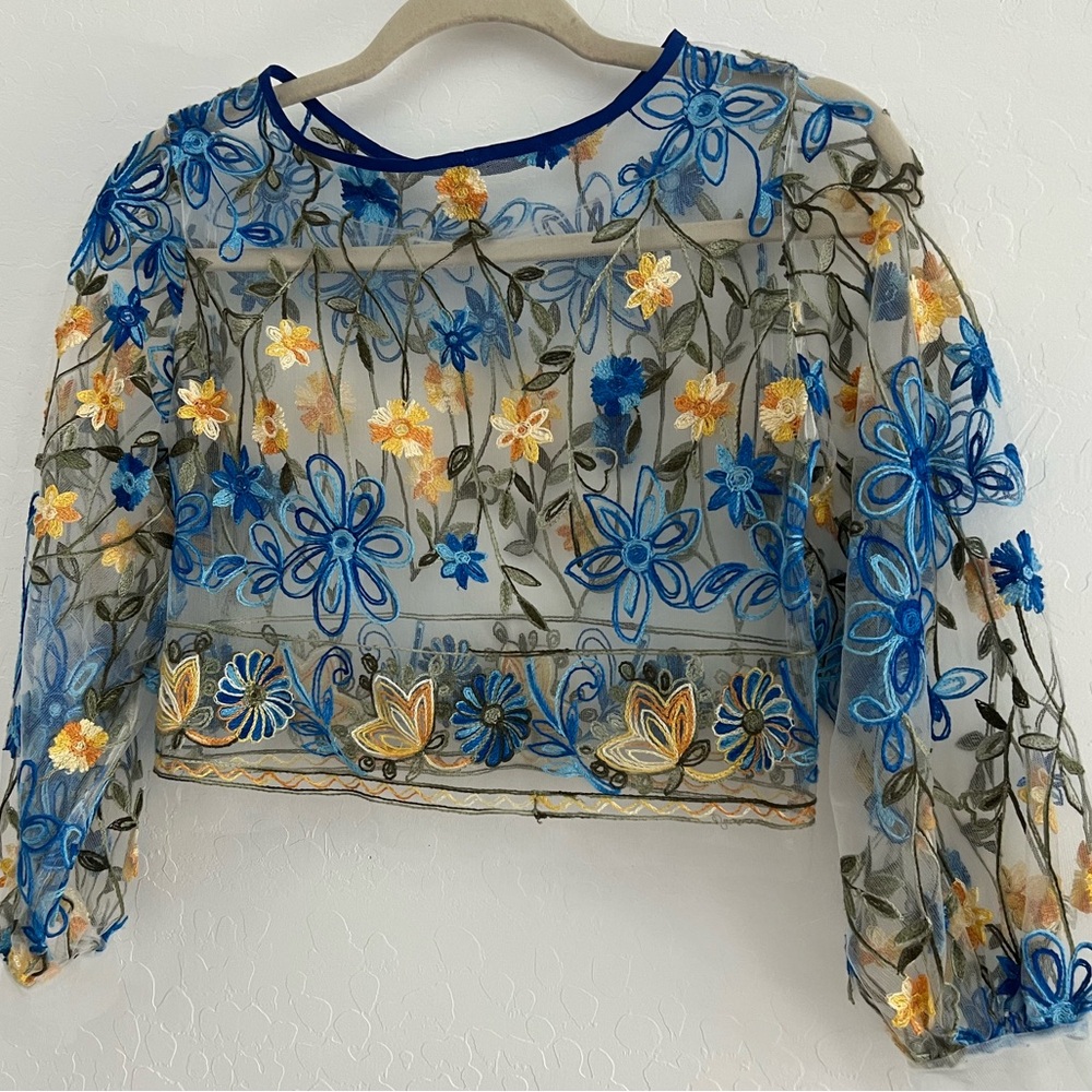 Embroidered Floral Sheer Crop Top - Picture 3 of 5